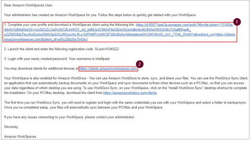 Connecting the Amazon Workspace